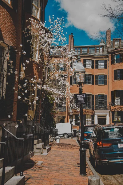 Våren Boston Skönhet Blommande Gator — Stockfoto
