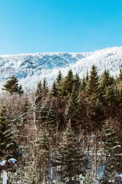 Kar demet ilerlesin.