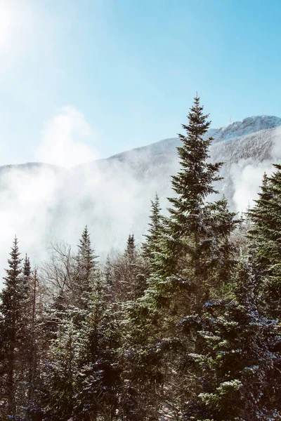 Stowe Mountains Winter December — Stockfoto