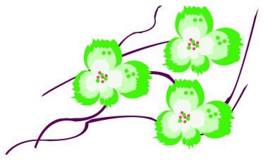 Beyaz arka planda izole edilmiş üç orkide çiçeği