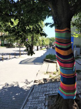 Örme kumaş giymiş yakın ağacın bir gövde