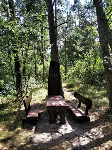 Ein Holztisch Mit Bänken Steht Wald Zwischen Bäumen Und Gras — Stockfoto