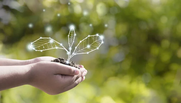 Earth Day environmental protection is in the hands of a tree that is planted as a graphic with brown soil.Green background, bokeh, tree on the grassland, nature, forest cons.Hand holding globe