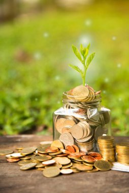 Cam kavanozdaki madeni paraların büyümesi gelecek için tasarruf sağlıyor. Yatırım Fikirleri ve İş Büyümesi. yeşil doğa arkaplanı 