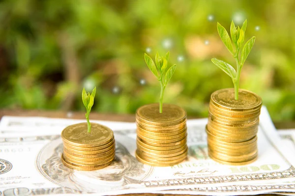 Bozuk Para Banknot Yığınındaki Ağaç Büyümesi Yatırım Büyümesi Büyümesi Kavramı — Stok fotoğraf