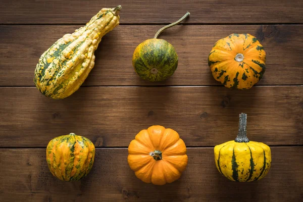 Colourful decorative mini pumpkins on the wooden background, top view