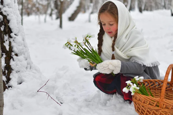 Kleines Mädchen in Schals und Fäustlingen pflückt Schneeglöckchen in den Schneewehen — Stockfoto