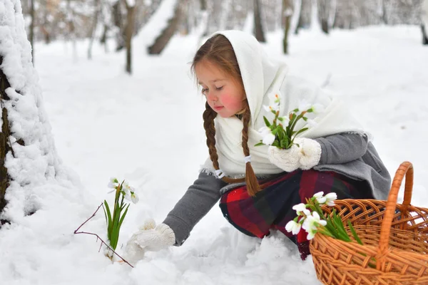 披肩和手套的小女孩在雪地里采摘雪滴 图库照片