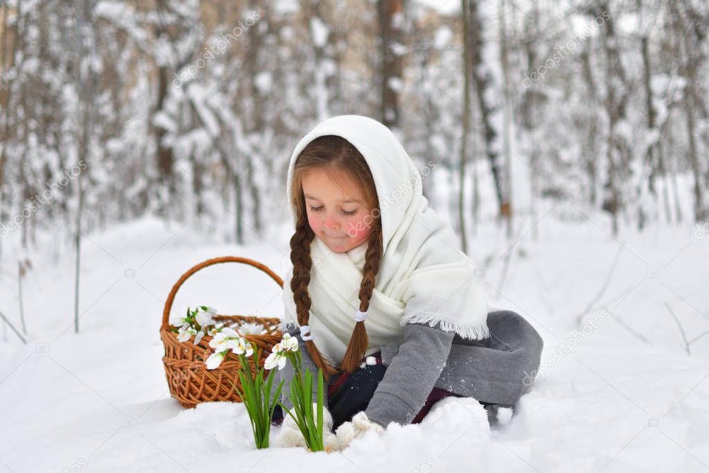 little girl in shawls in winter, looking for snowdrops