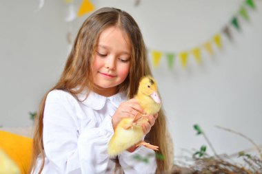 Sevimli kız gerçek ördek yavrusu ile oynamak. hayvan ile oynayan yeni yürümeye başlayan kız . Sarı kabarık ördek yavruları. Mutlu paskalya konsepti