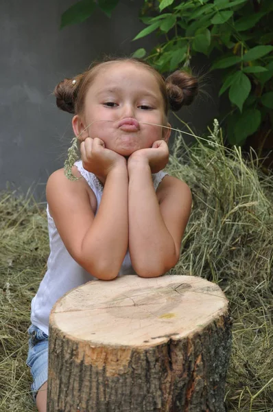 Маленька дівчинка на купі сіна. Вона тримає стебло в руках і похмурі місця. портрет . — стокове фото