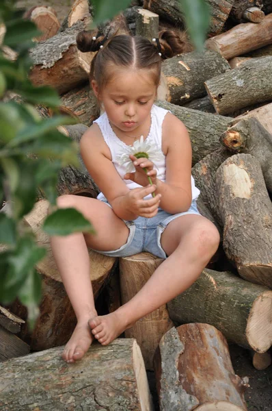 Дівчина з ромашкою. Вибірковий фокус Літо в селі — стокове фото