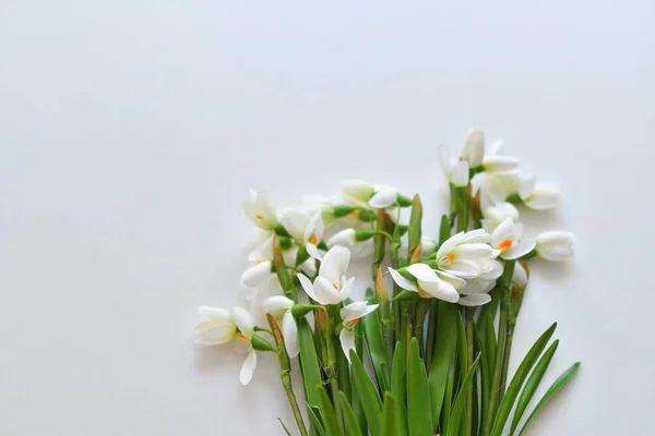 Csokor friss hóvirág egy fehér asztal. Tavaszi hangulat — Stock Fotó
