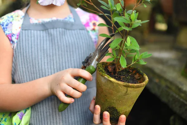 Ребенок сажает весенние цветы. красивая девушка садовник растений азалии. Девочка держит азимут в цветочном горшке. Портрет . — стоковое фото