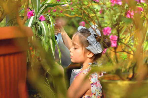 Niño plantando flores de primavera. hermosa niña jardinero plantas azalea. Niño cuidando plantas. Niña regando plantas de regadera. Retrato . — Foto de Stock