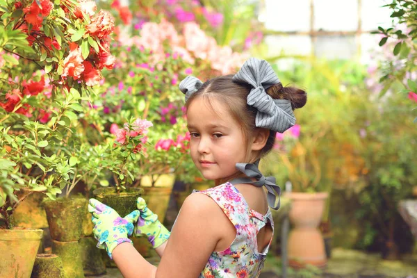 Kind pflanzt Frühlingsblumen. schöne Gärtnerin pflanzt Azaleen. Kind pflegt Pflanzen. Mädchen hält Azaleen-Strauch im Blumentopf. Porträt. — Stockfoto