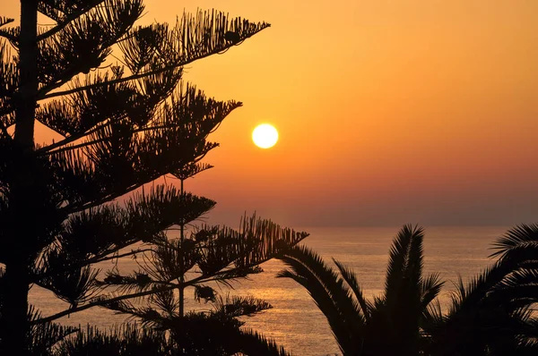 Sonnenuntergang auf See. wunderschöne Sonnenuntergangslandschaft auf dem Berg, Abendhimmel in warmen Tönen. davor liegt ein Schatten einer Bananenstaude — Stockfoto