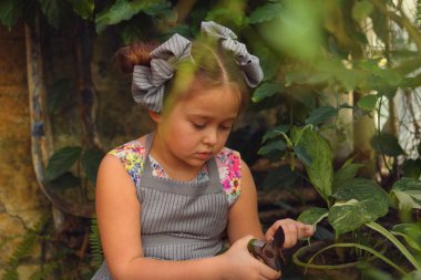 Çocuk bahar çiçekleri ekiyor. güzel kız bahçıvan bitkiler açelya. Bitkilerle ilgilenmesi. kız budama bir dal makas. Portre.