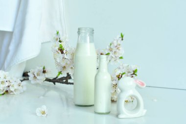 Beyaz arka plan üzerinde Paskalya kompozisyon. Seramik tavşan ve kayısı çiçekli taze süt iki şişe . Çiftlikten taze süt.