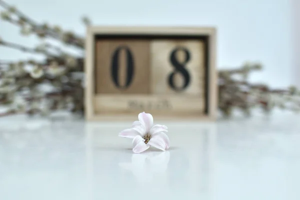 8 березня композиція на білому тлі. 8 березня текст на дерев'яному блоці календаря і одна квітка рожевих гіацинтів. — стокове фото