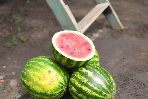 Wassermelonen. Ganze Wassermelonen und die Hälfte — Stockfoto