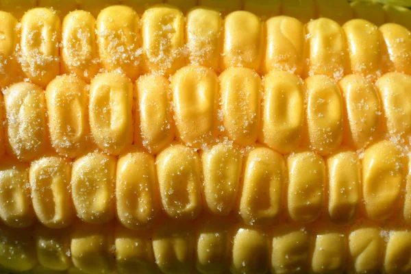 Yellow sweet corn with coarse sea salt .Sweet corn background. Soft selective focus — Stock Photo, Image