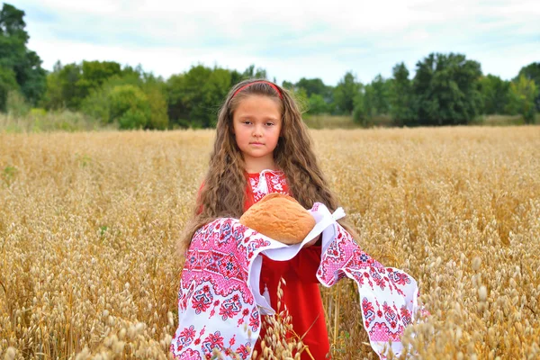 Lány a hagyományos hímzés kenyeret egy hímzett törülközőt a területen. Ukrajna függetlenség napja. Zászló nap. Az alkotmány ünnepe — Stock Fotó