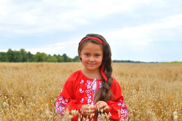 Portret van Oekraïens mooi meisje in vyshivanka op het gebied van rogge en tarwe. De onafhankelijkheidsdag van Oekraïne. Dag van de vlag. Dag van de Grondwet — Stockfoto