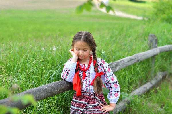 Портрет української прекрасної дівчини в вишиванці в зеленому полі пшениці. дівчина у вишиванках — стокове фото