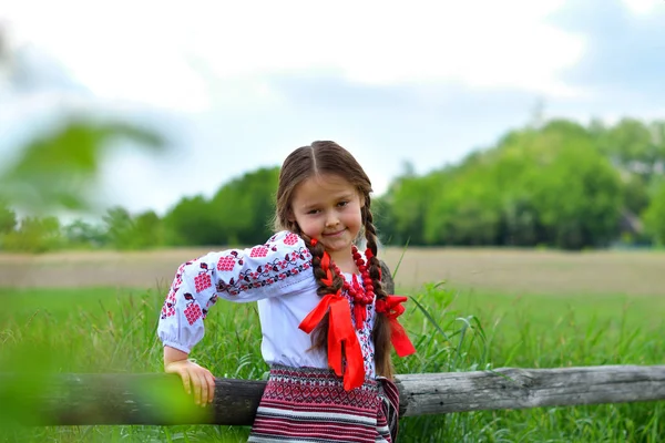 Portret van Oekraïense mooi meisje in vyshivanka in groene veld van tarwe. meisje in borduurwerk — Stockfoto