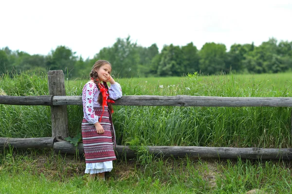 Portrait de Ukrainienne Belle fille dans vyshivanka dans le champ vert de blé. fille en broderie — Photo