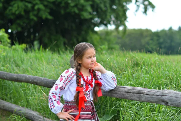 Portret van Oekraïense mooi meisje in vyshivanka in groene veld van tarwe. meisje in borduurwerk — Stockfoto