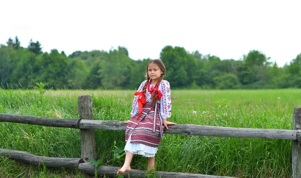 Портрет української прекрасної дівчини в вишиванці в зеленому полі пшениці. дівчина у вишиванках — стокове фото