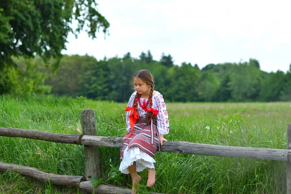 Retrato de ucraniano Bela menina em vyshivanka no campo verde de trigo. menina em bordado — Fotografia de Stock