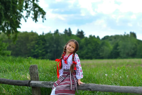 Portrait of Ukrainian Beautiful girl in vyshivanka in green field of wheat . girl in embroidery — Stock Photo, Image