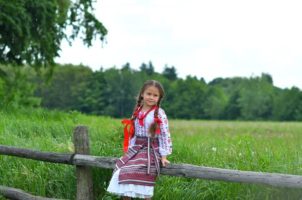 Portret van Oekraïense mooi meisje in vyshivanka in groene veld van tarwe. meisje in borduurwerk — Stockfoto
