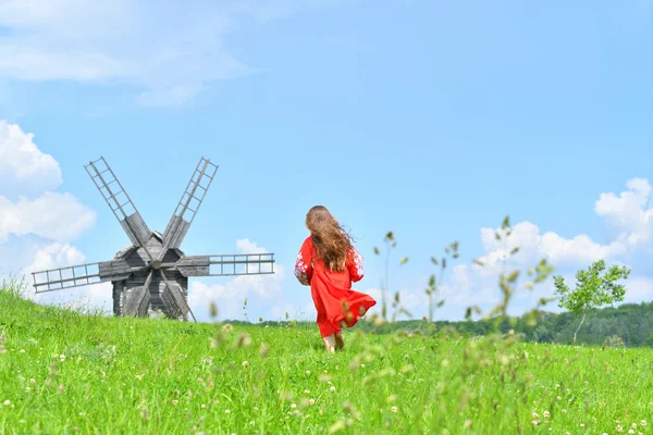 Retrato de Ucrania Hermosa chica en vyshivanka en el campo verde de trigo .old molino background.Concept de las tradiciones nacionales — Foto de Stock