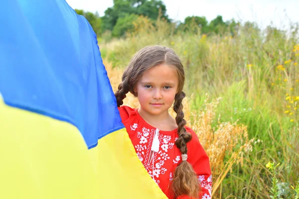 Ukraina patriotyczna koncepcja. Piękna dziewczyna w ukraińskim Narodowym garniturze z flagą Ukrainy. miejsce — Zdjęcie stockowe