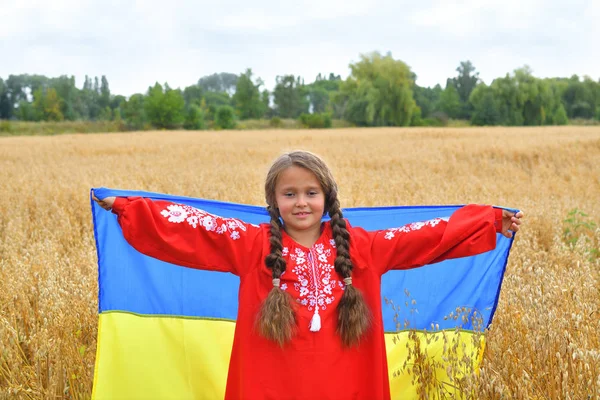 Ucrânia conceito patriótico. Menina bonita no terno nacional ucraniano com bandeira ucraniana. espaço de cópia — Fotografia de Stock