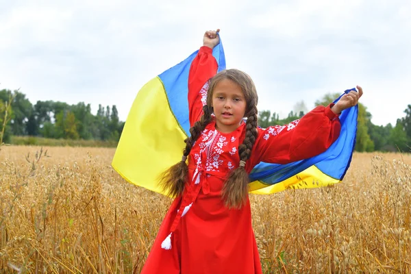 Ukrán hazafias fogalom. Gyönyörű lány az ukrán nemzeti öltönyt ukrán zászló. copyspace — Stock Fotó