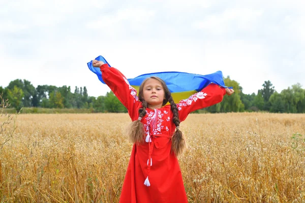 Ukrán hazafias fogalom. Gyönyörű lány az ukrán nemzeti öltönyt ukrán zászló. copyspace — Stock Fotó