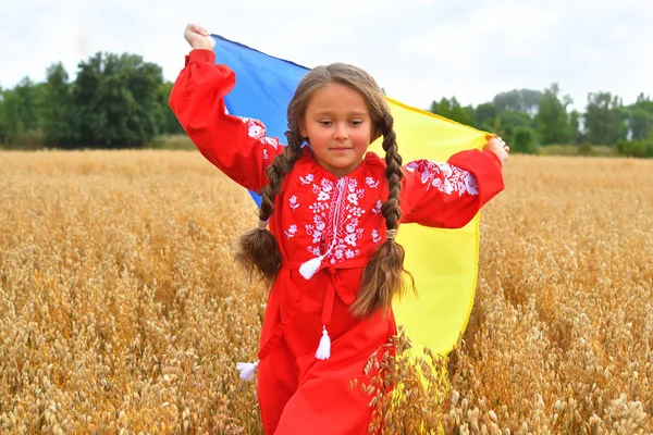 Патріотична концепція України. Красива дівчина в українському національному костюмі з українським прапором. copyspace — стокове фото