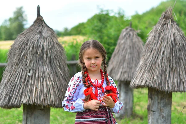 Portrait de ukrainienne Belle fille dans vyshivanka à côté de la vieille maison en bois. fille en broderie. Concept de traditions nationales — Photo