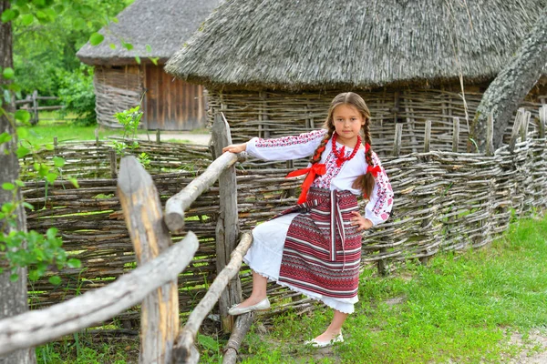 Portré az ukrán gyönyörű lány vyshivanka mellett a régi faház. lány hímzett. A nemzeti hagyományok fogalma — Stock Fotó