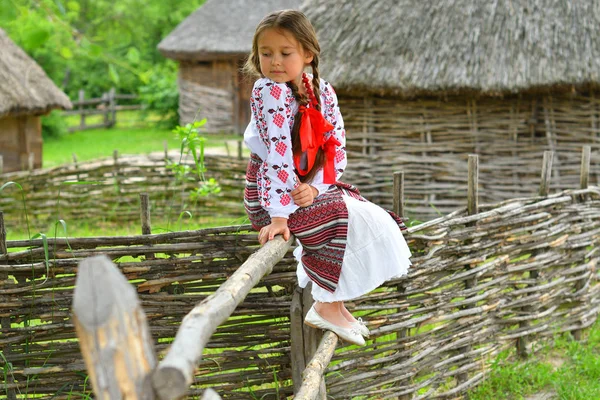 Portret ukraińskiej pięknej dziewczyny w vyshivanka obok starego drewnianego domu. dziewczynka w haftem. Koncepcja tradycji narodowych — Zdjęcie stockowe