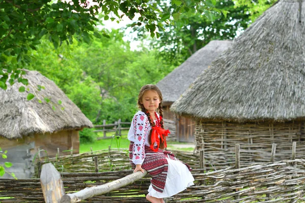 Retrato de ucraniano Menina bonita em vyshivanka ao lado da velha casa de madeira. menina em bordado. Conceito de tradições nacionais — Fotografia de Stock