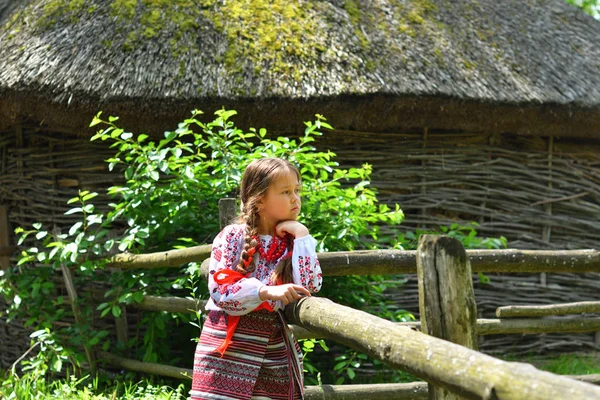 Портрет украинской красивой девушки на вышиванке рядом со старым деревянным домом. девушка в вышивке. Концепция национальных традиций — стоковое фото