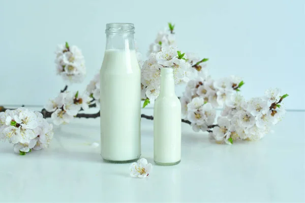 흰색 배경에 살구 꽃이있는 신선한 우유 두 병. 농장에서 신선한 우유. 유제품. — 스톡 사진