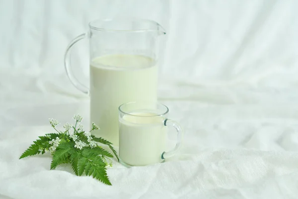 Jarra de vidrio jarra de leche fresca con vidrio sobre fondo blanco. concepto de leche — Foto de Stock