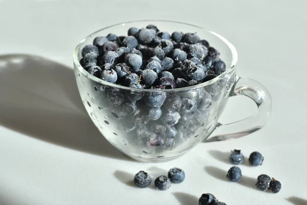 Blueberries in a glass cup on white background. — Stock Photo, Image